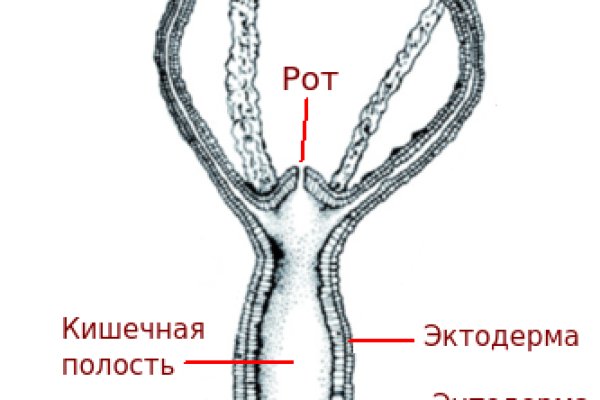 Кракен сайт ссылка kr2web in
