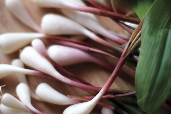 Kraken tor onion зеркало