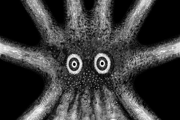 Kraken13at