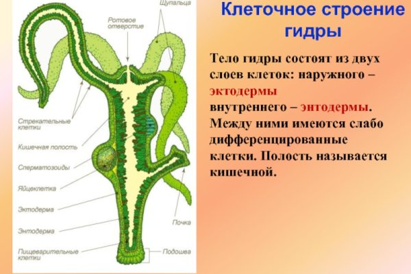 Восстановить аккаунт на кракене