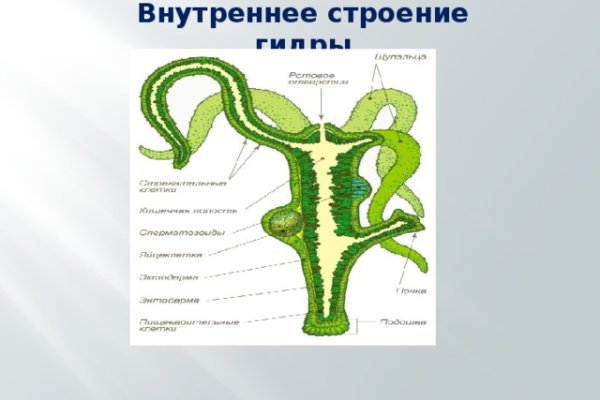 Kra30.at