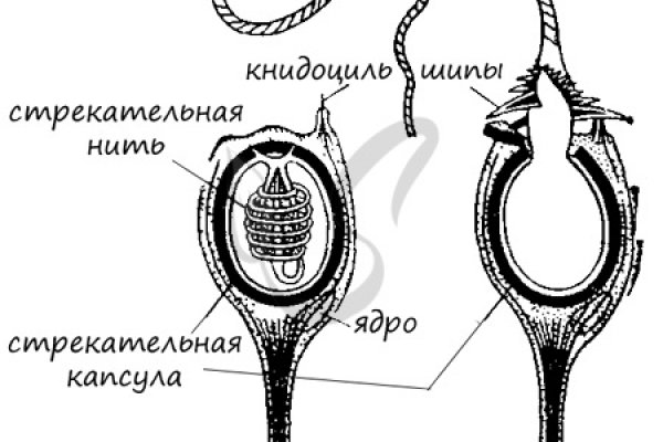 Кракен даркнет как зайти