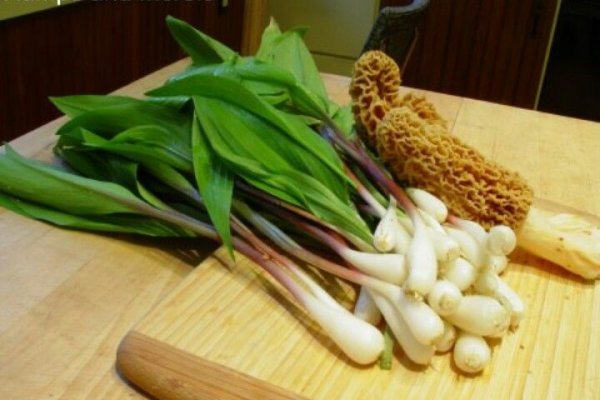 Kraken актуальный сайт