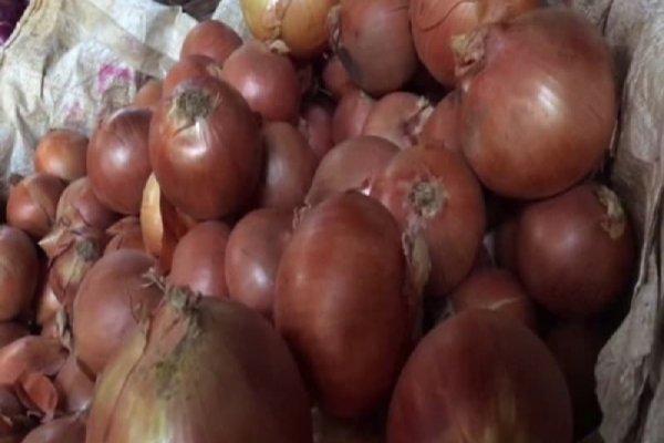 Кракен почему пользователь не найден