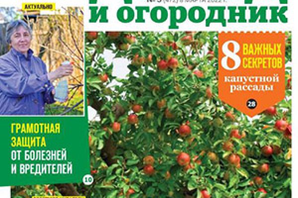 Ссылка на кракен официальный